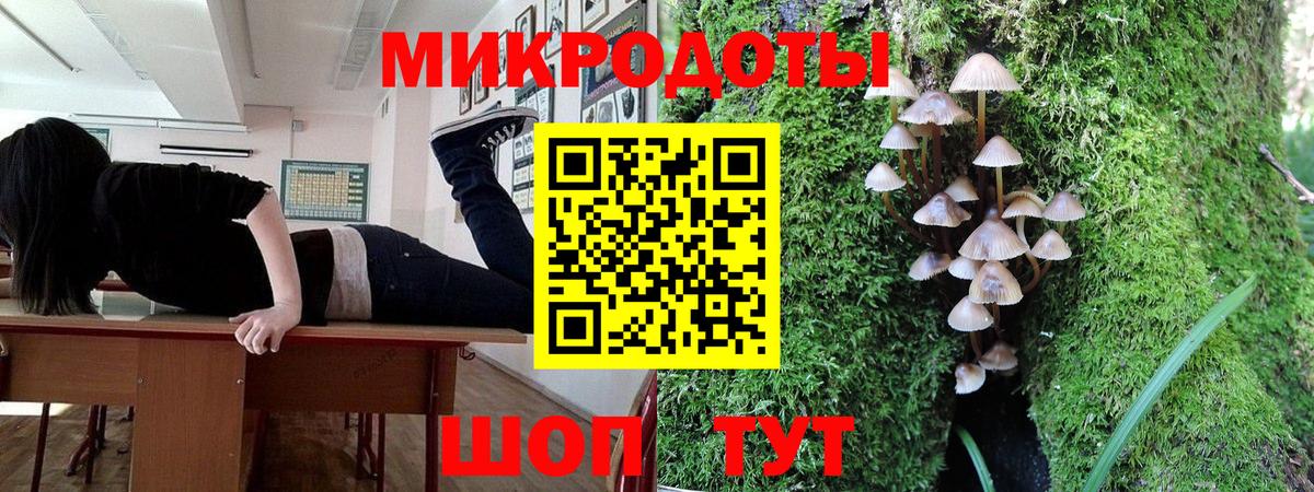 Галлюциногенные грибы Cubensis Чебоксары